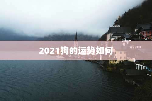 2021狗的运势如何