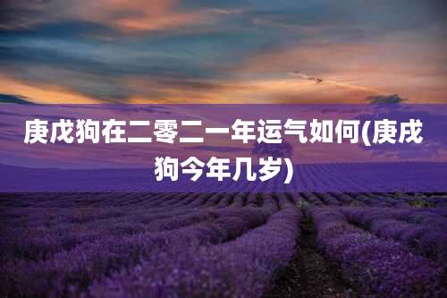 庚戊狗在二零二一年运气如何(庚戌狗今年几岁)