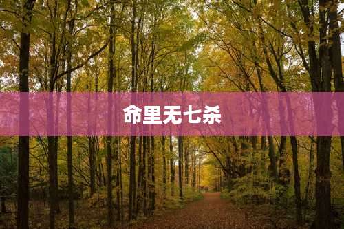 命里无七杀