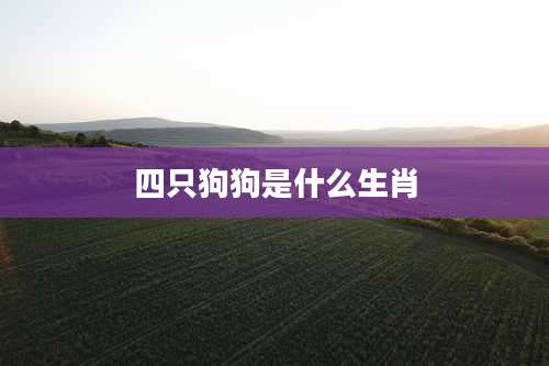 四只狗狗是什么生肖