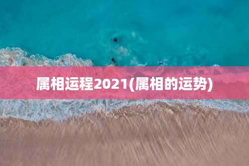 属相运程2021(属相的运势)
