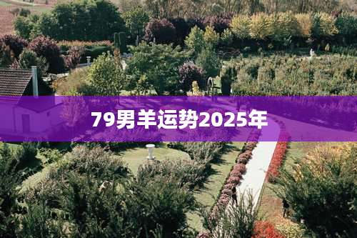 79男羊运势2025年