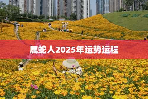 属蛇人2025年运势运程
