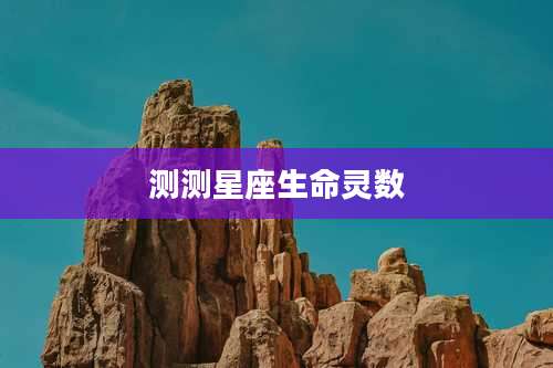 测测星座生命灵数