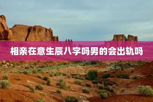 相亲在意生辰八字吗男的会出轨吗