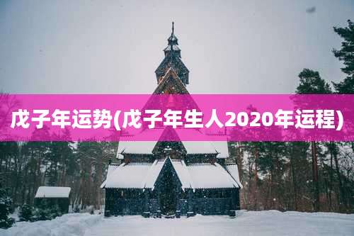 戊子年运势(戊子年生人2020年运程)