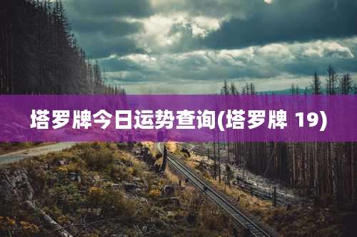 塔罗牌今日运势查询(塔罗牌 19)