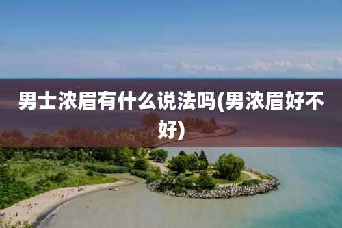 男士浓眉有什么说法吗(男浓眉好不好)