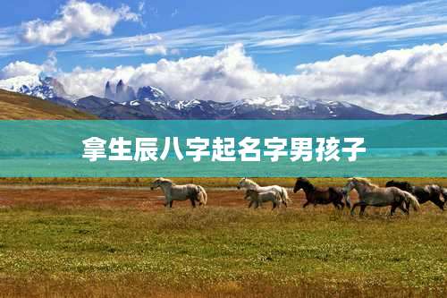 拿生辰八字起名字男孩子