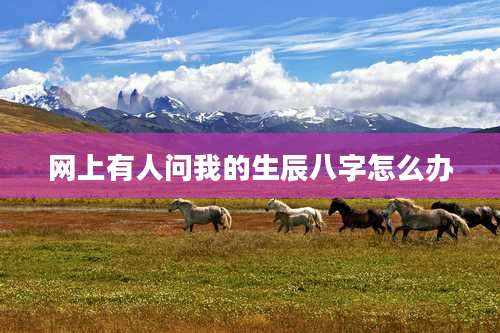 网上有人问我的生辰八字怎么办