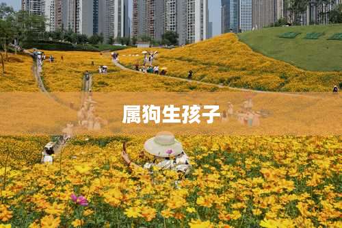 属狗生孩子