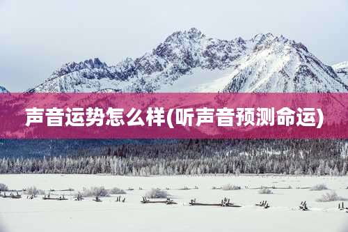 声音运势怎么样(听声音预测命运)