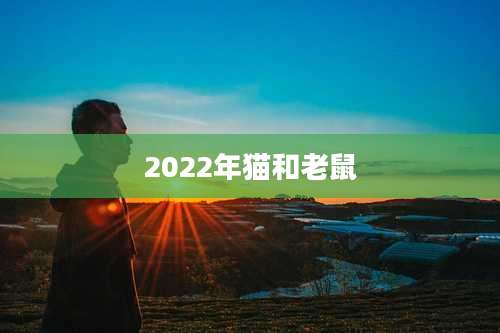 2022年猫和老鼠