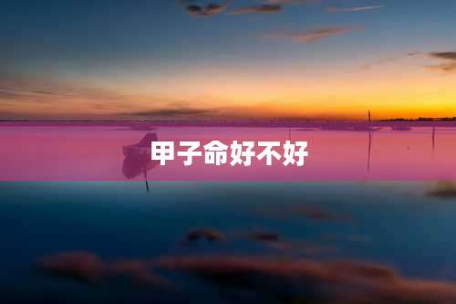 甲子命好不好