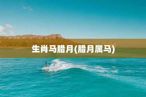 生肖马腊月(腊月属马)