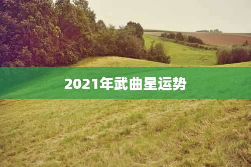 2021年武曲星运势