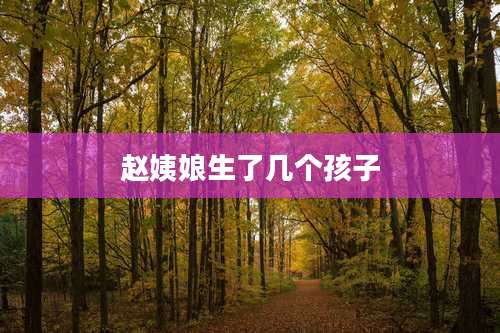 赵姨娘生了几个孩子