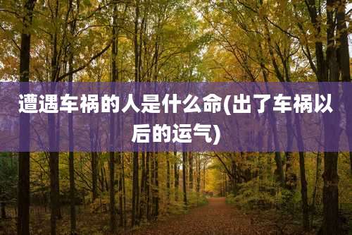 遭遇车祸的人是什么命(出了车祸以后的运气)