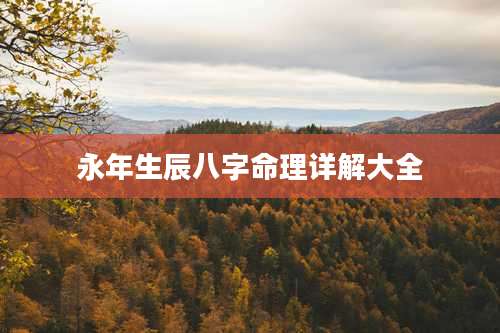 永年生辰八字命理详解大全