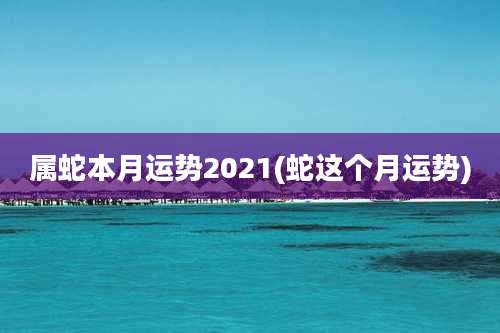 属蛇本月运势2021(蛇这个月运势)