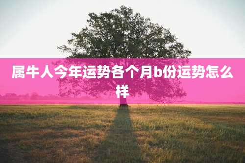 属牛人今年运势各个月b份运势怎么样