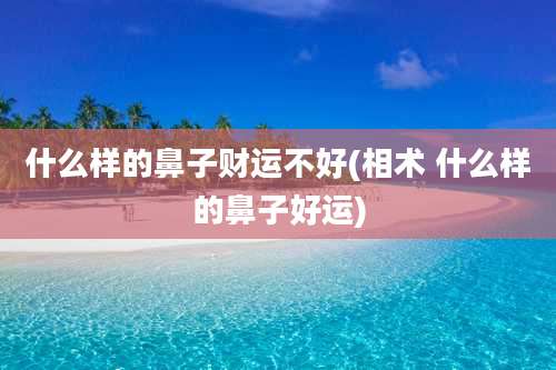 什么样的鼻子财运不好(相术 什么样的鼻子好运)