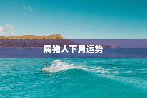 属猪人下月运势