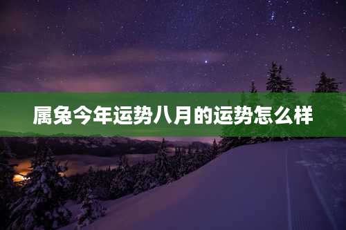 属兔今年运势八月的运势怎么样