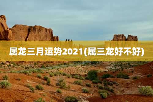 属龙三月运势2021(属三龙好不好)