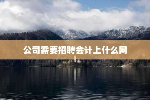 公司需要招聘会计上什么网