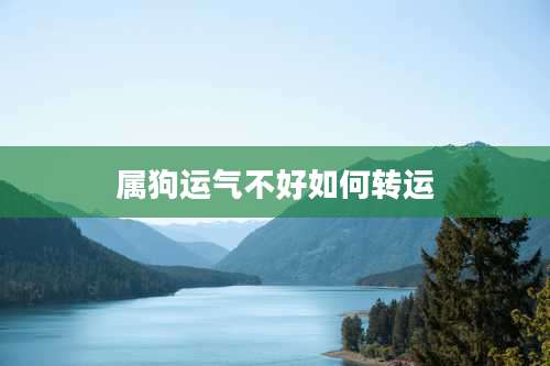 属狗运气不好如何转运