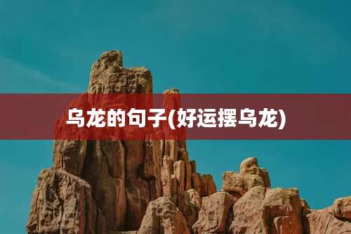 乌龙的句子(好运摆乌龙)