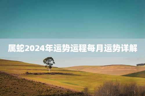 属蛇2024年运势运程每月运势详解