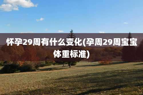 怀孕29周有什么变化(孕周29周宝宝体重标准)