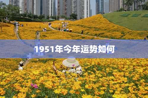 1951年今年运势如何