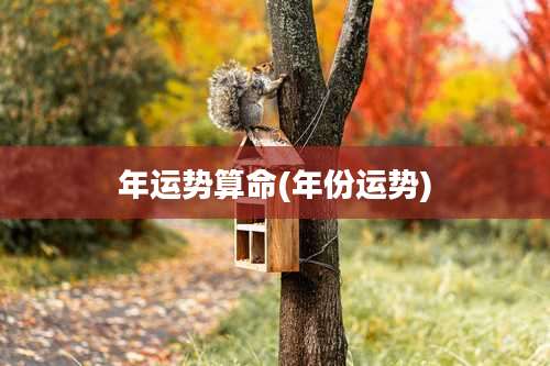 年运势算命(年份运势)