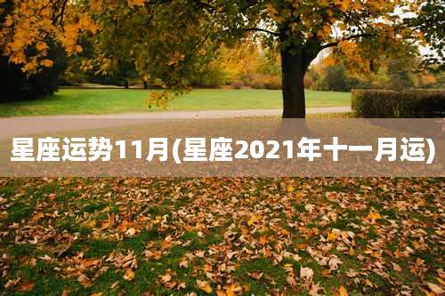 星座运势11月(星座2021年十一月运)