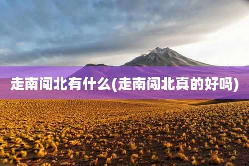 走南闯北有什么(走南闯北真的好吗)