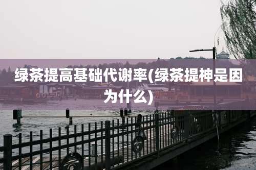 绿茶提高基础代谢率(绿茶提神是因为什么)