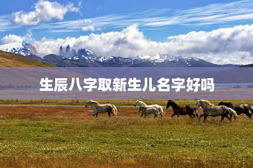 生辰八字取新生儿名字好吗