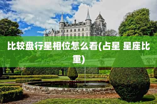 比较盘行星相位怎么看(占星 星座比重)