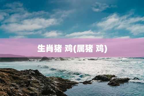 生肖猪 鸡(属猪 鸡)