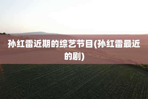 孙红雷近期的综艺节目(孙红雷最近的剧)