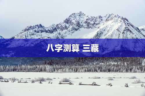 八字测算 三藏