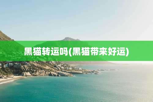 黑猫转运吗(黑猫带来好运)