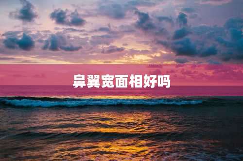 鼻翼宽面相好吗