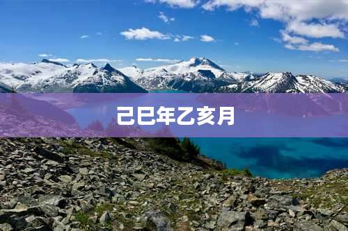 己巳年乙亥月