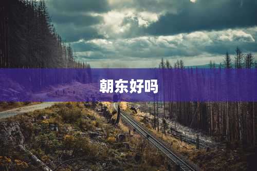 朝东好吗