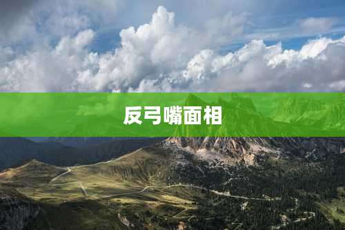 反弓嘴面相
