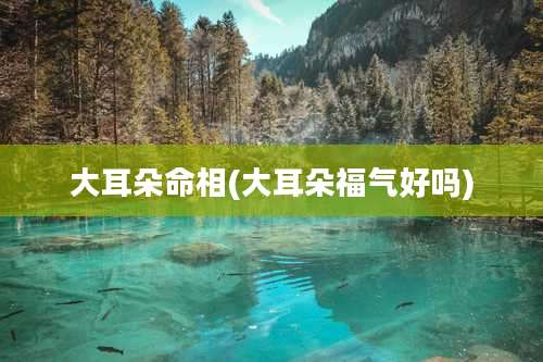 大耳朵命相(大耳朵福气好吗)